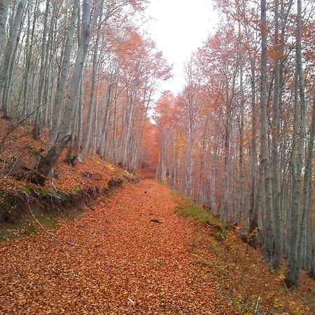 Apartamentos Turisticos Real Valle Ezcaray Zorraquín Kültér fotó