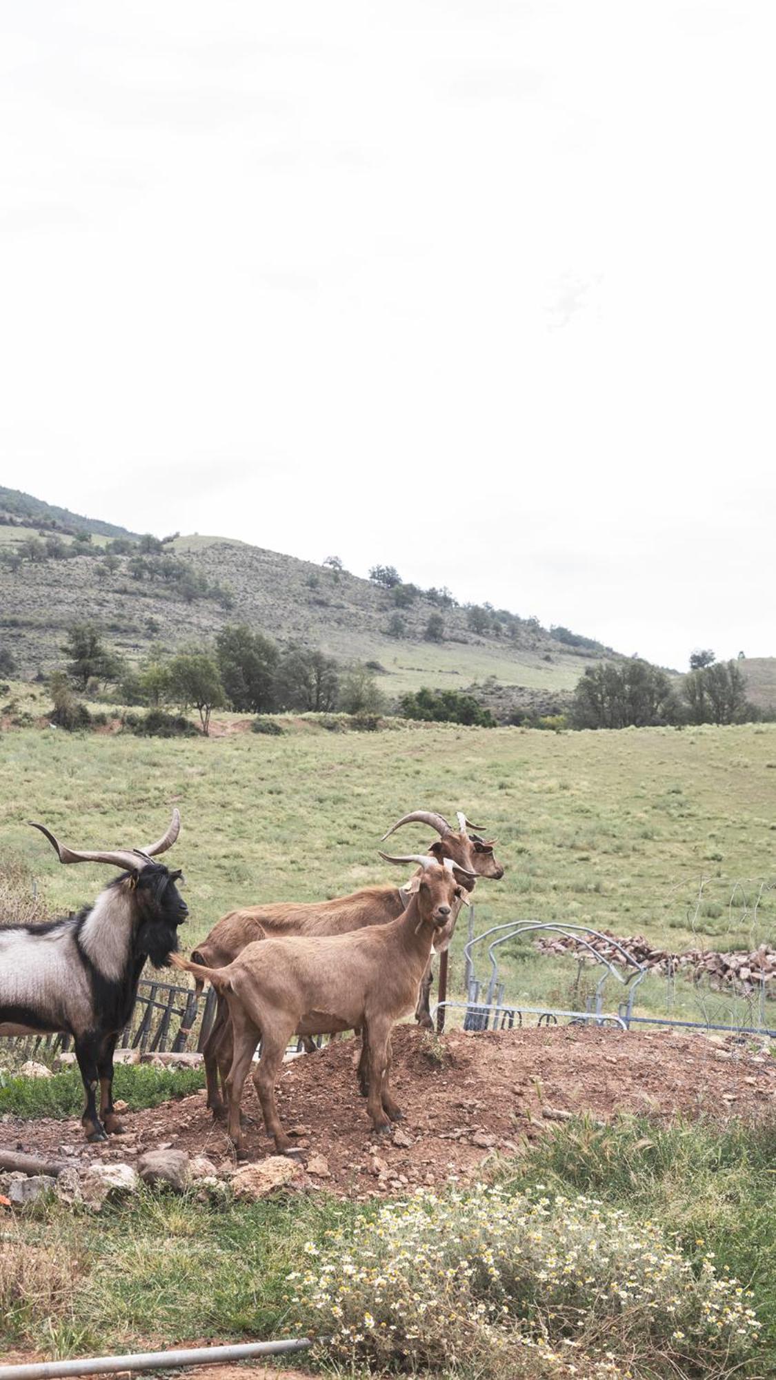 Apartamentos Turisticos Real Valle Ezcaray Zorraquín Kültér fotó